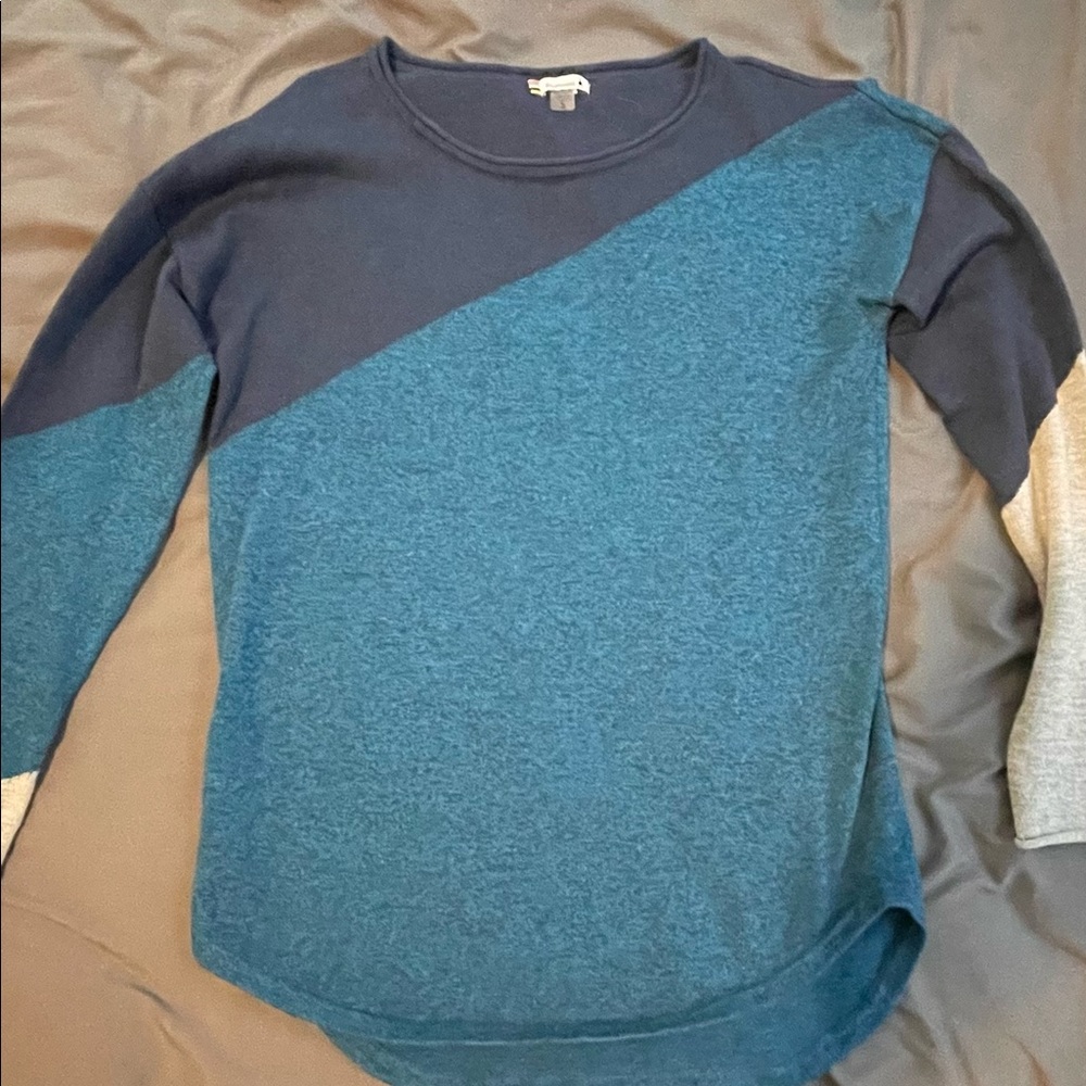 REI Smartwool blue tricolor sweater size small